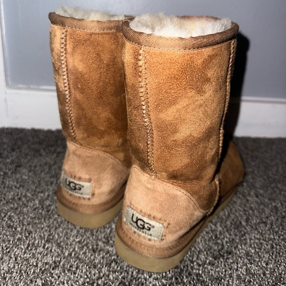 UGG Shoes - CLASSIC SHORT UGG (CHESTNUT)